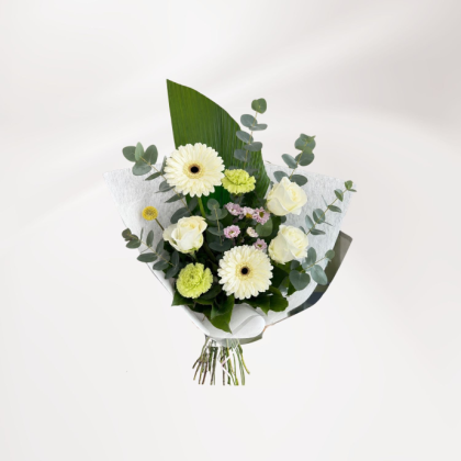 Blanc & Vert (Petit)