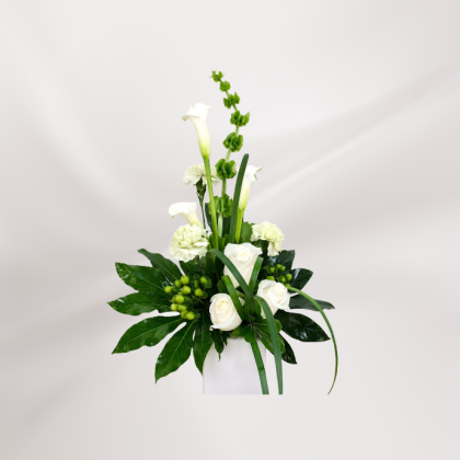 Composition Blanc & Vert