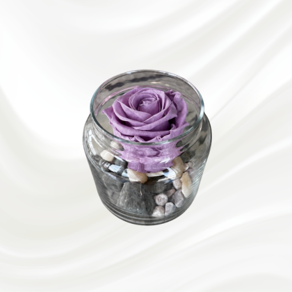 Rose Éternelle 2