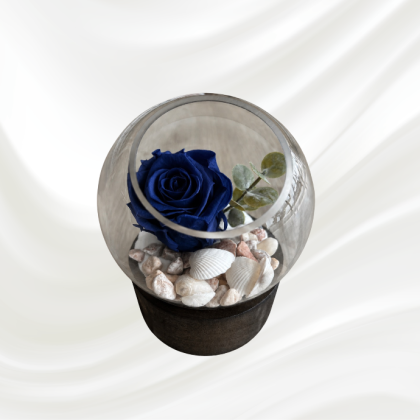 Rose Éternelle 6