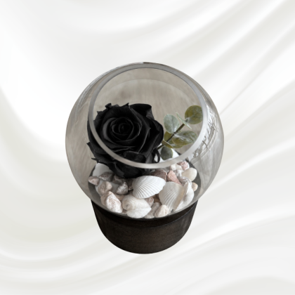 Rose Éternelle 7