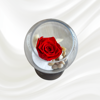 Rose Éternelle 8