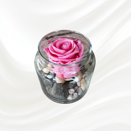 Rose Éternelle Rose